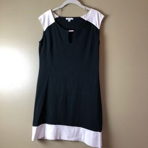 B&W Color Block Cap Sleeve Dress | NY&Co
